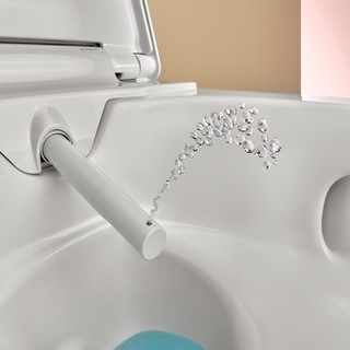 Geberit Aquaclean Alba Shower Toilet - White