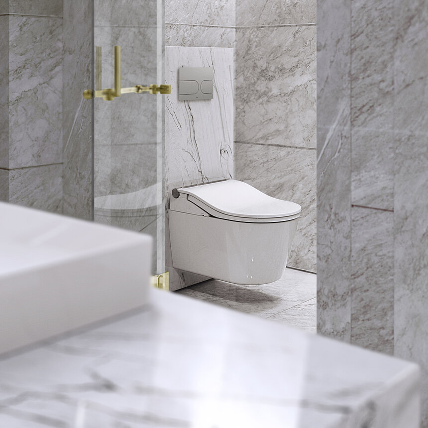 TOTO RW WASHLET™ Set – Seat & Wall Hung WC
